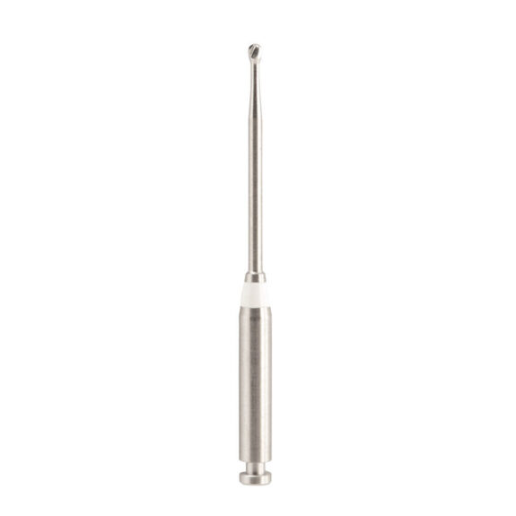 Endo Access Burs 191A RAL 31mm 010 2St | 289059