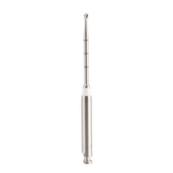 Endo Access Burs 191A RAXL 34mm 010 2St | 289049