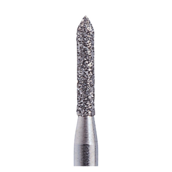 Diamant FG 289 012 G grob St | 307368