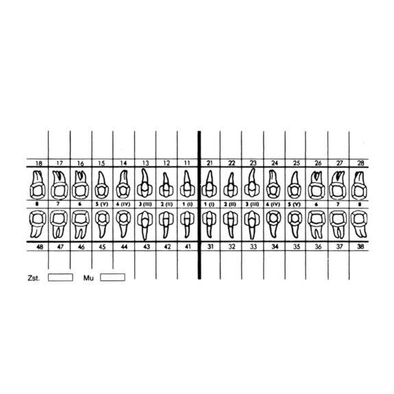 Zahnschema weiß SK 100St | 304844