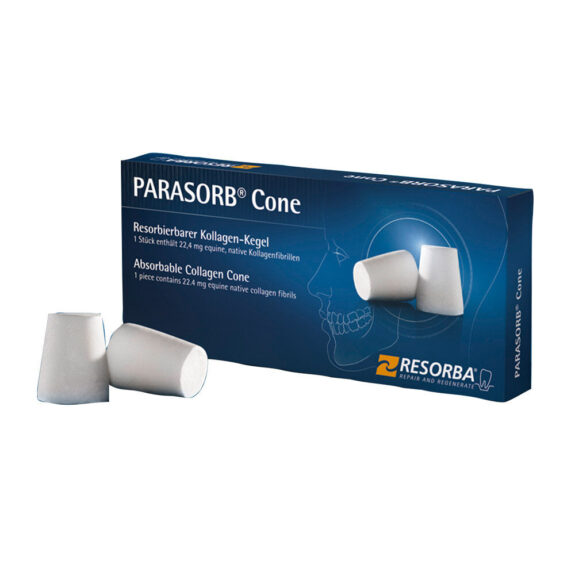 Parasorb Dentalkegel 10St | 294192