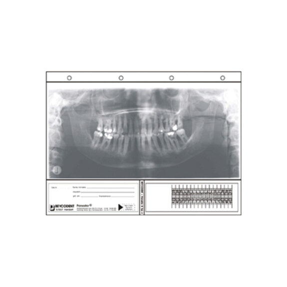 Panostar Typ 4 15×30,5 100 St Nfpa | 301424