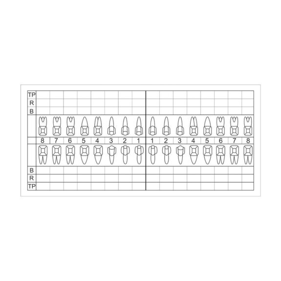 Zahnschema plastisch 120St | 301477